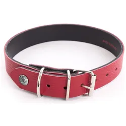 Martin Sellier Allure (47, Hund, Spazieren), Halsband + Leine