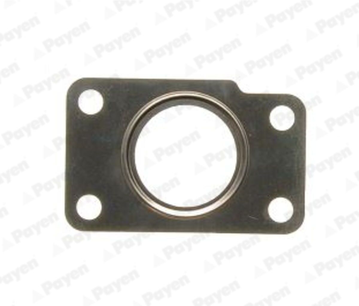 Payen Guarnizione, compressore KK5739