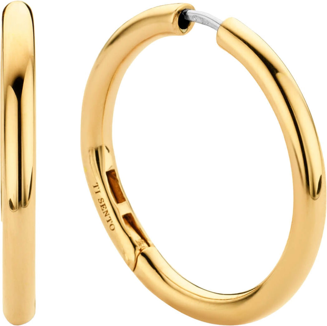 Ti Sento Milano TI SENTO 7782SY Earrings
