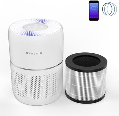OVAL AIR 3-Stage H13 Smart True HEPA Desk Air Purifier for Rooms up to 150 sq. ft. reduces Allergies, Asthma, Pets, Odor, White
