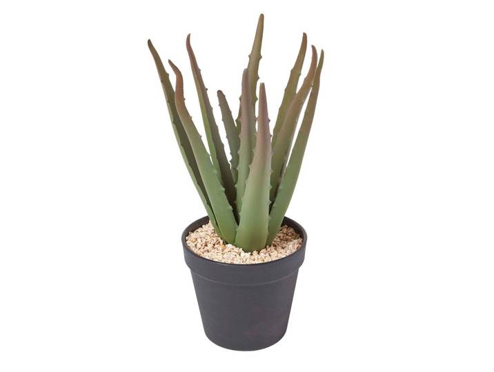 KUNSTPFLANZE Aloe vera im Deko-Topf, 30 cm