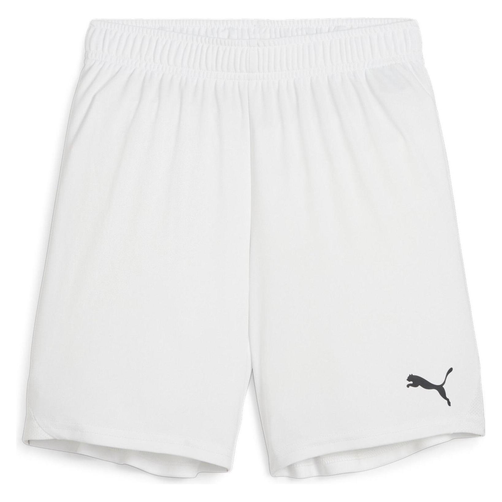Puma teamGOAL Shorts Jr (116) (705753_04)