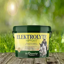 St. Hippolyt Elektrolyte 2,5 kg - Mineralischer Ausgleich bei starkem Schweißverlust