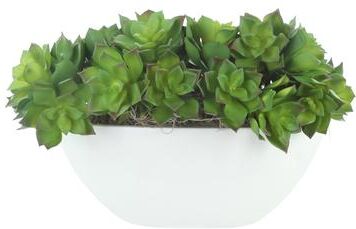 Creative Labs Assorted Succulents in Fiberstone Planter