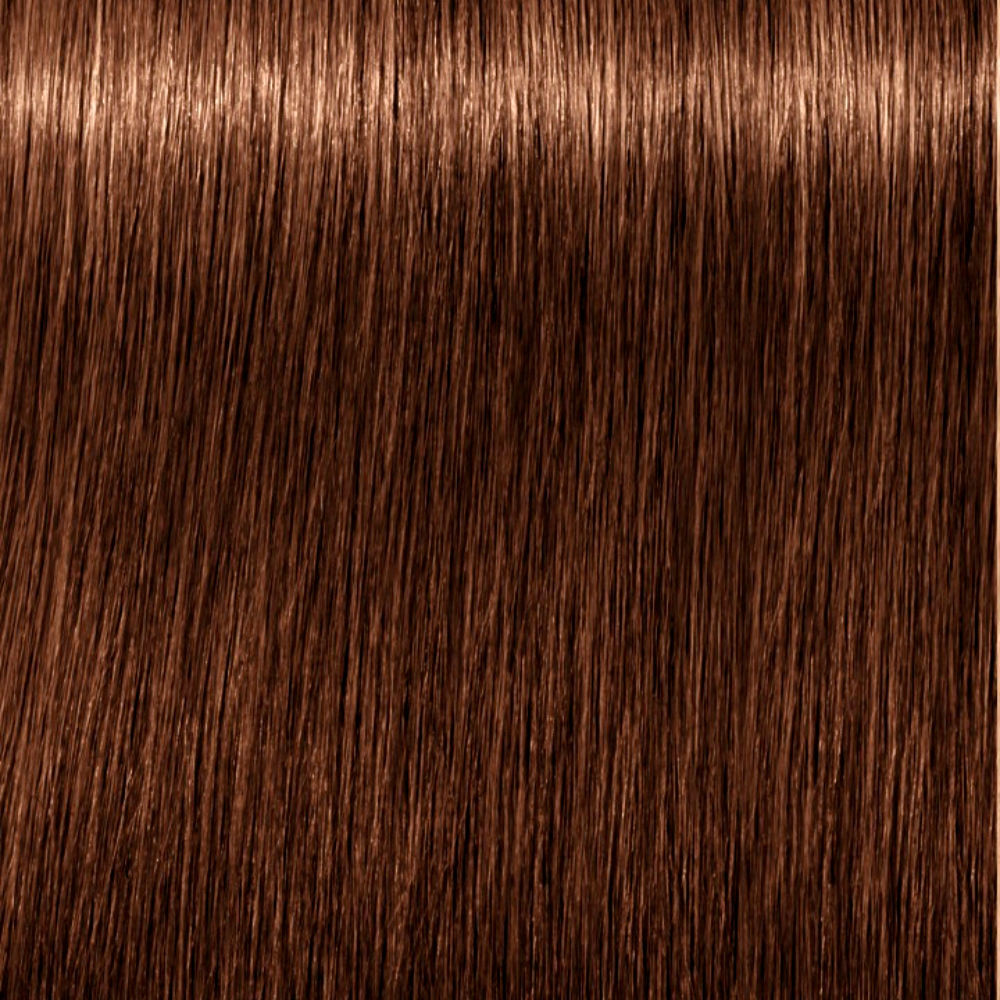 Schwarzkopf Igora Royal Absolutes #6-60