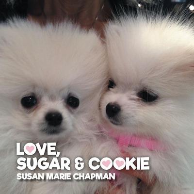 Love, Sugar and Cookie - Susan Marie Chapman, Audio, 9781953598103