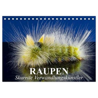 Raupen - Skurrile Verwandlungskünstler (Tischkalender 2027 DIN A5 quer), CALVENDO Monatskalender