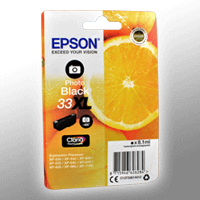 Epson Tinte C13T336140 photo black 33XL