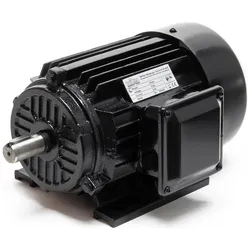 Wiltec, Elektromotor, Elektromotor