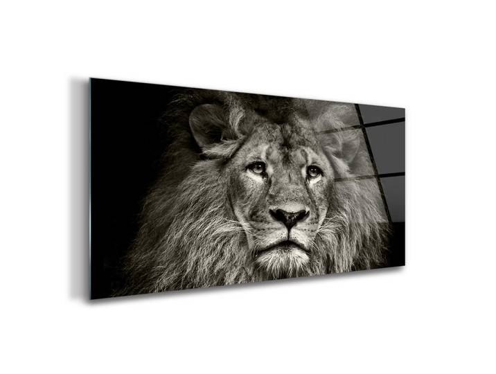 Tulup Glasbild 100x50 cm Löwe Tier, Schwarz, Glas, 100x50 cm, Bilder & Rahmen, Bilder, Glasbilder