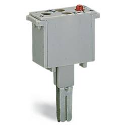WAGO 280-803/281-414 LED-Baustein Grau 50 St.