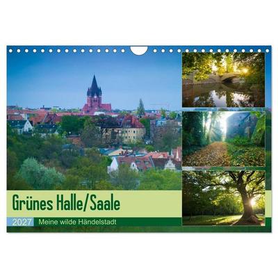 Grünes Halle/Saale - Meine wilde Händelstadt (Wandkalender 2027 DIN A4 quer), CALVENDO Monatskalender