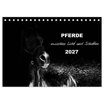Pferde zwischen Licht und Schatten (Tischkalender 2027 DIN A5 quer), CALVENDO Monatskalender