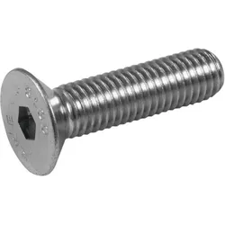 ACCESSORY Innensechskantschraube M10x40mm