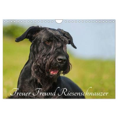 Treuer Freund Riesenschnauzer (Wandkalender 2027 DIN A4 quer), CALVENDO Monatskalender