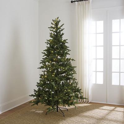 Noelle Galloway Spruce Tree - Ballard Designs