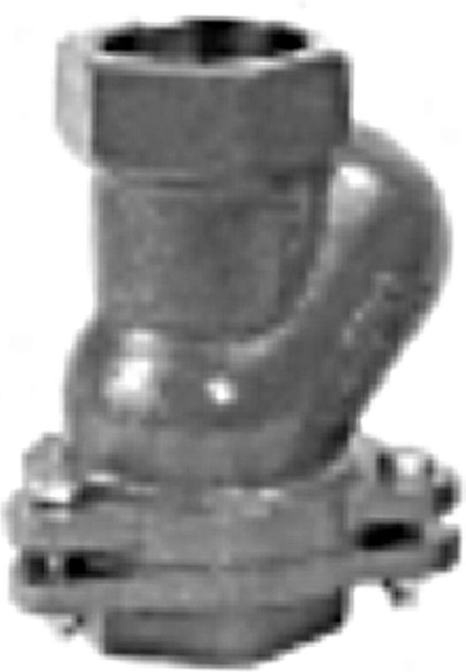 Grundfos Kugelrückschlagventil Rp 2 1/2 IG, für stationären Einsatz (96002003)