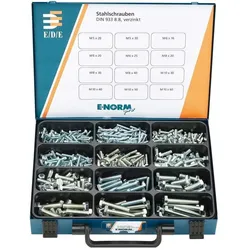 Magni, Werkzeugkoffer, Format 4317784018692 – e-norm Montagekoffer 25 DIN 933 – 8.8 zn (620 Teile)