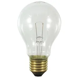 Scharnberger+Hasenbein Backofenlampe AGL B60x105 29940