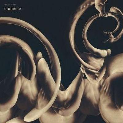 dissolution - Siamese, CD
