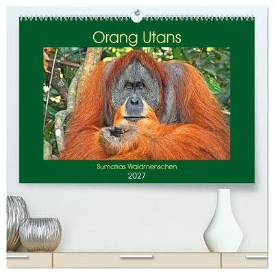 Orang Utans Sumatras Waldmenschen (hochwertiger Premium Wandkalender 2027 DIN A2 quer), Kunstdruck in Hochglanz