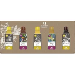 Geschenkset - Öl und Essig Renner EG-Bio