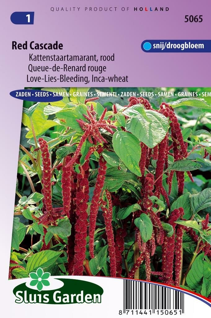Sluis Garden Amaranthus Caudatus zaden Red Cascade