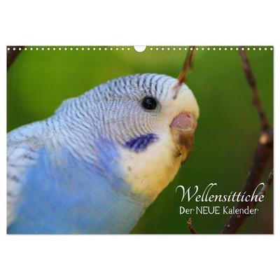 Wellensittiche - der NEUE Kalender (Wandkalender 2027 DIN A3 quer), CALVENDO Monatskalender
