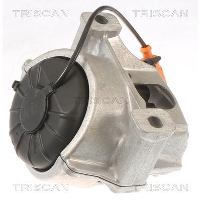 TRISCAN Lagerung, Motor 850529133 für Audi Porsche