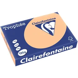 Clairefontaine Kopierpapier Trophee A4 120g/qm VE=5x250 Blatt aprikose