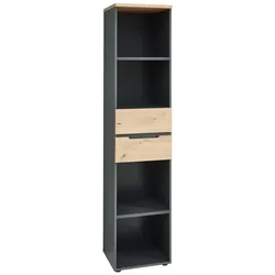Voleo Regal schmal DETROIT - B/H/T ca. 45.00x197.00x38.00
