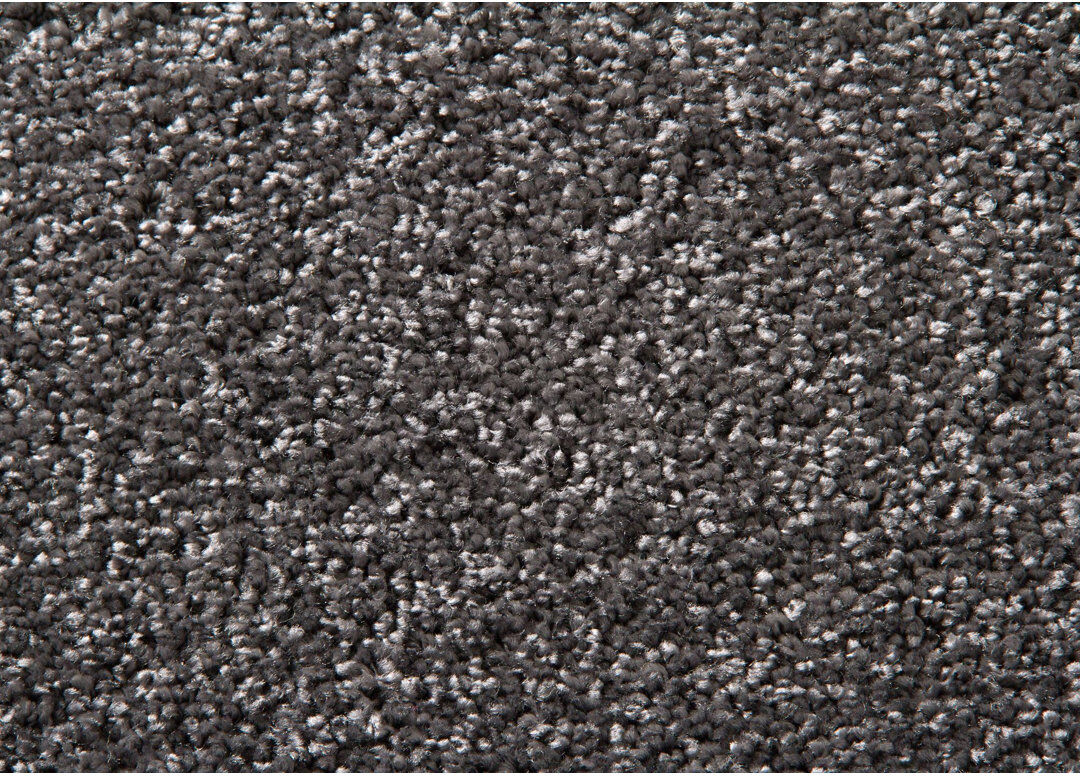 Latitude Run Willenhall Area Rug Anthracite Runner 80 x 300cm