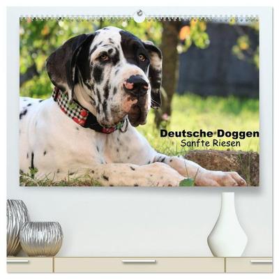 Deutsche Doggen - Sanfte Riesen (hochwertiger Premium Wandkalender 2027 DIN A2 quer), Kunstdruck in Hochglanz