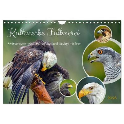 Kulturerbe Falknerei (Wandkalender 2026 DIN A4 quer), CALVENDO Monatskalender