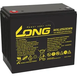 WP WXL12505WN - Blei-Vlies-Akku, 12V, 130Ah, Longlife