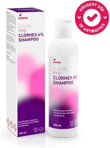 Livisto V-SKIN PYO Shampoo Clorhex 4% 250ml