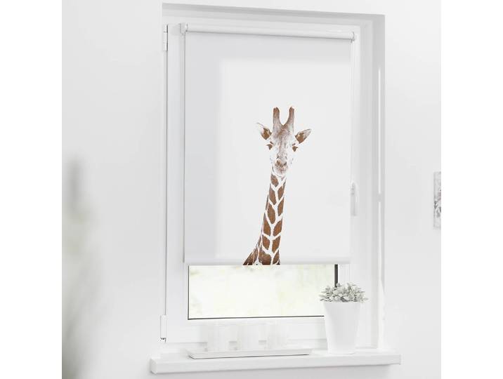 Klemmfix Rollo Giraffe 70 x 150cm Braun