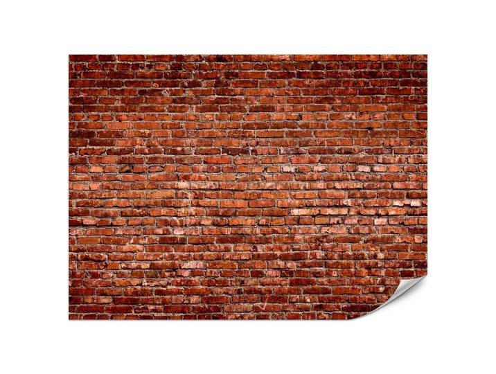FOTOTAPETE für Wohnzimmer Alte Rote Ziegelwand Rustikal 200x140