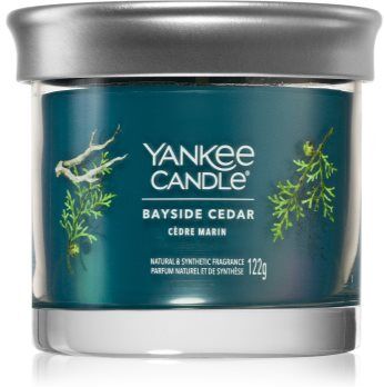 Yankee Candle Bayside Cedar vela perfumada 122 g. Bayside Cedar