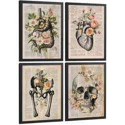 POSTER Set aus 4 Anatomie Mensch Botanische Drucke und mit Organen Herz Verdauungssystem Schädel und Becken Heimdekoration Größe Schwarzer Rahmen A4