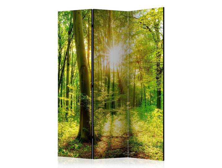 Paravent Forest Rays 1-seitig Vlies auf Kiefer Massiv Grün 135 x 172 x 3cm