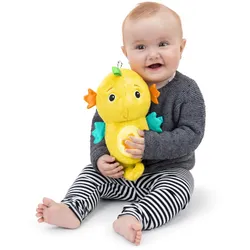 Baby Einstein - Seepferdchen mit Licht und Musik