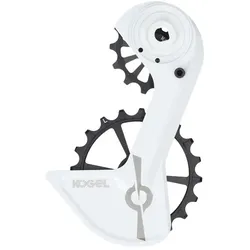 KOGEL BEARINGS Oversized Schaltwerkskäfig System Kolossos Pulsar Spee