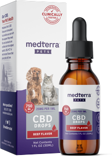 Medterra [Free] Best Seller