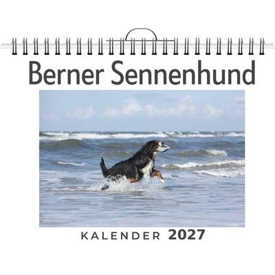 Berner Sennenhund