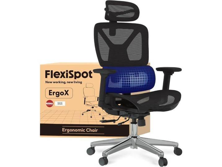 FlexiSpot Chaise de Bureau Ergonomique Appui-tête 3D Accoudoir 3D et Support Lombaire 5D Indépendant en Maille Noir