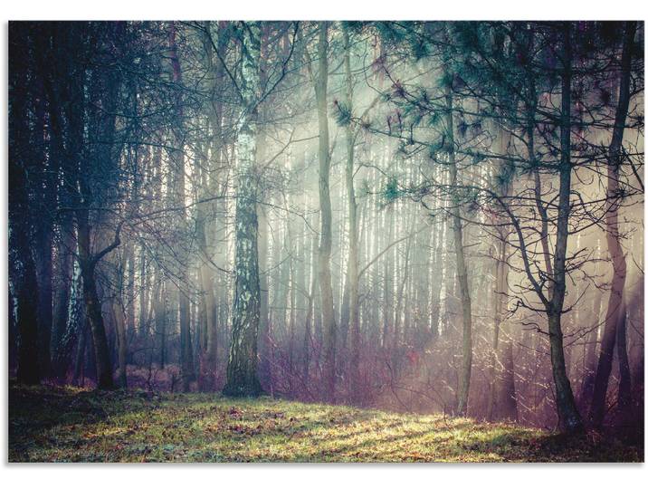 Alu-Dibond-Druck ARTLAND Sonnenstrahlen im Wald , blau (farbe bild(er): blau), B:130cm H:90cm, Bilder, Alu-Dibond-Druck, für Innen- und Aussenbereich geeignet, Outdoorbild
