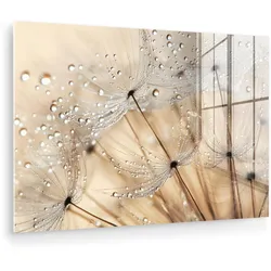 ACRYLGLASBILD Löwenzahn - Abstrakt - Natur - Beige Wanddeko 60x40 cm