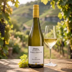 Markus Molitor Pinot Blanc Haus Klosterberg 2024 - Weißwein trocken - Mosel Saar Ruwer, Deutschland