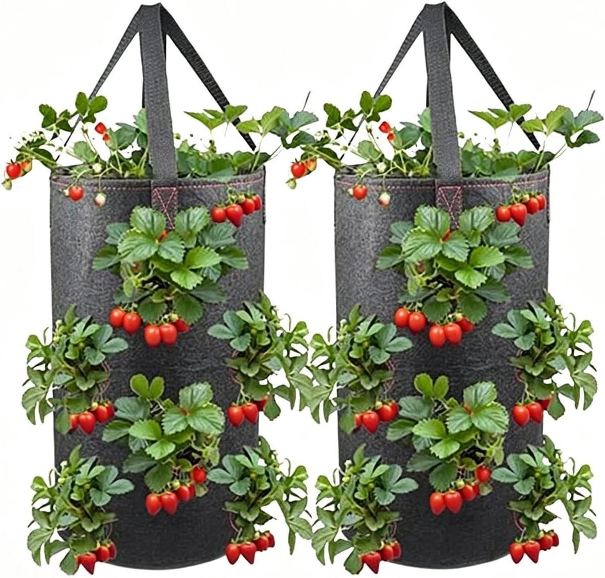 Aardbei kweekzakken voor buiten tuinieren met 11 plantgaten, 3 gallon